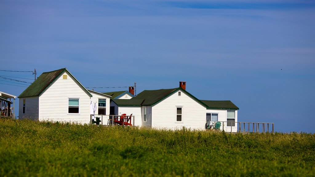 Ingonish showing a house