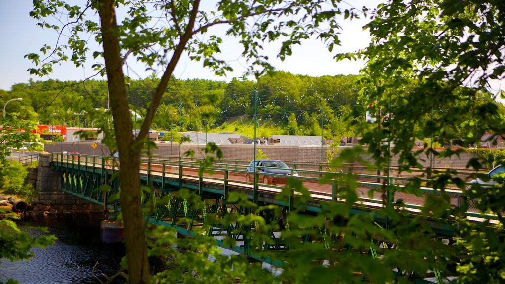 Bridgewater featuring a bridge