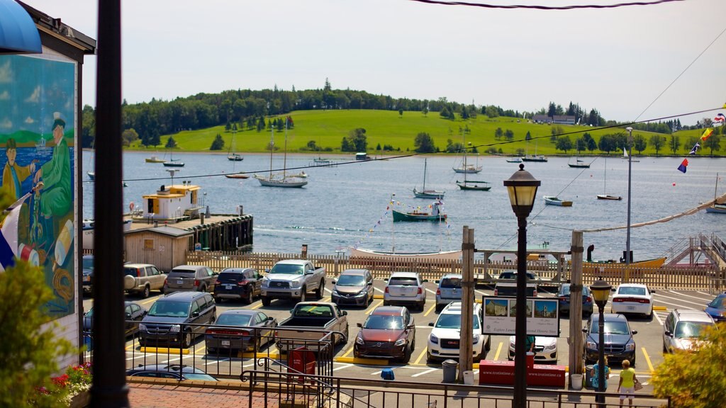 Lunenburg fasiliteter samt båter, kystby og landskap