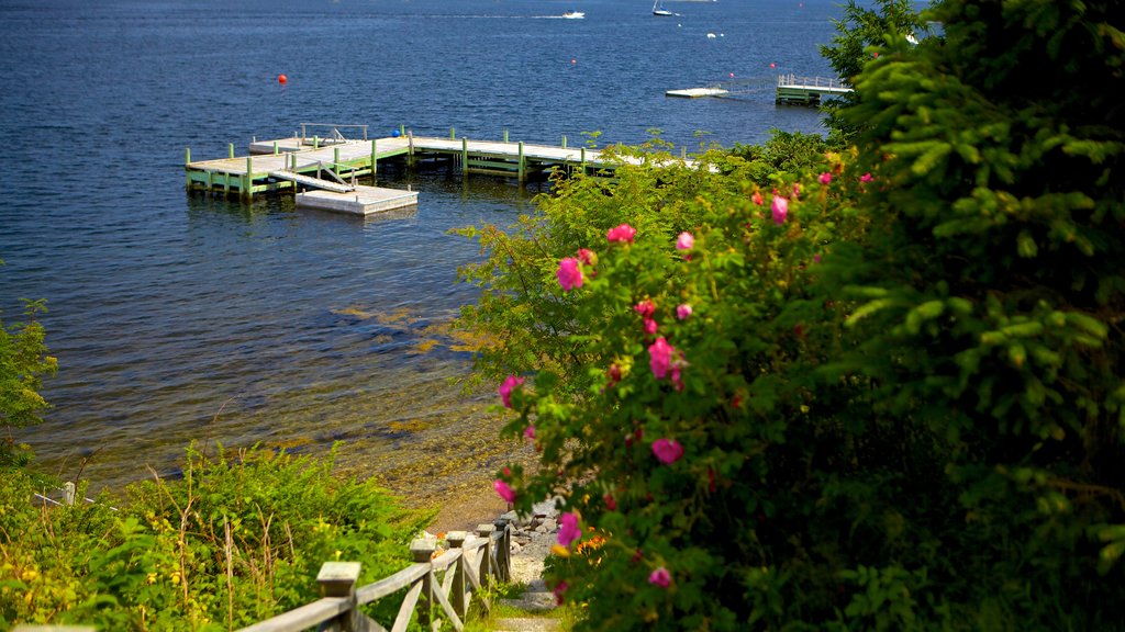 Chester featuring general coastal views, a bay or harbor and flowers