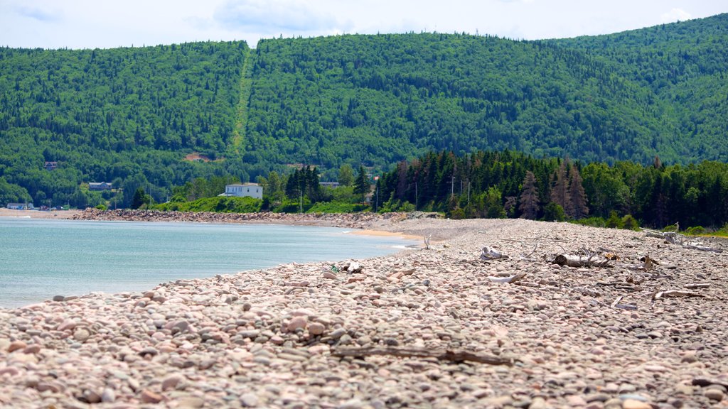 Ingonish Beach que incluye una playa de guijarros