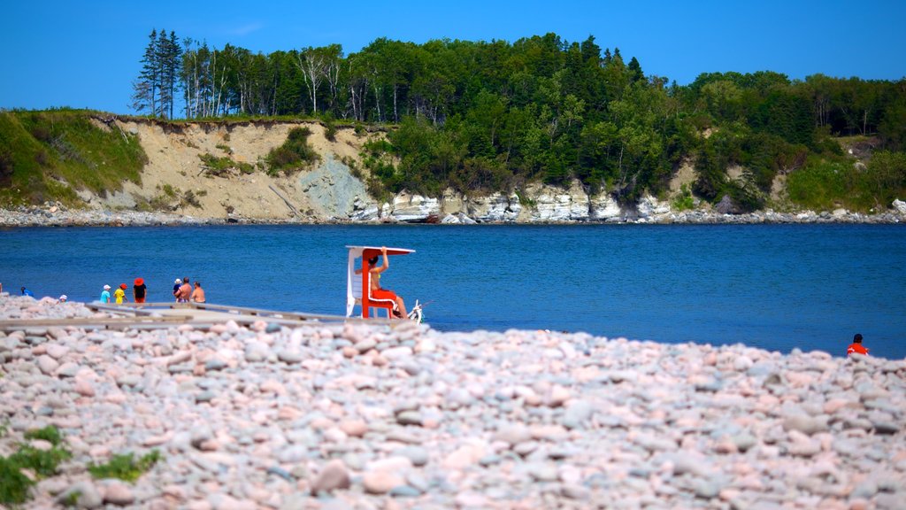 Ingonish Beach que incluye una playa de piedras