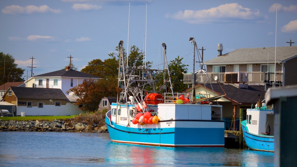 Fisherman\'s Cove showing a bay or harbour