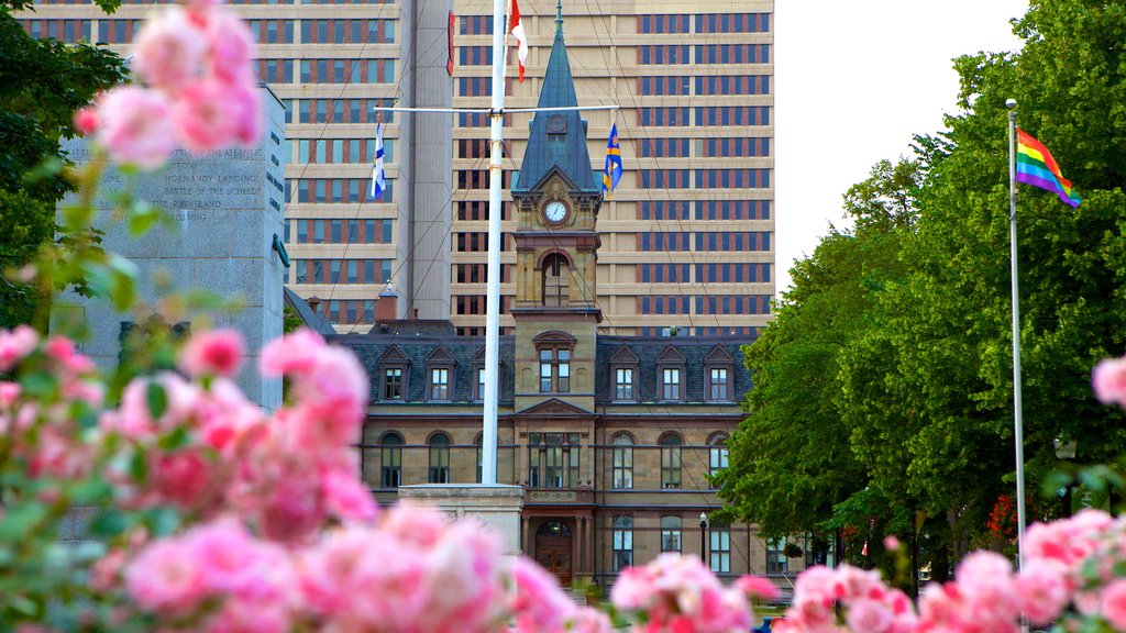 Halifax City Hall presenterar en administrativ byggnad, blommor och historisk arkitektur