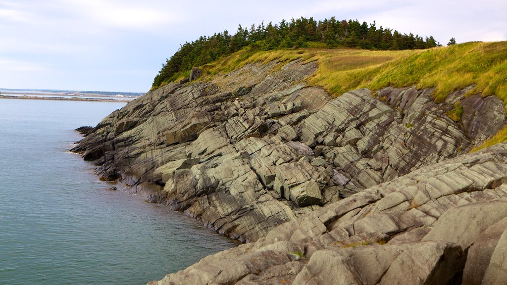 Cape Forchu Lightstation featuring rocky coastline