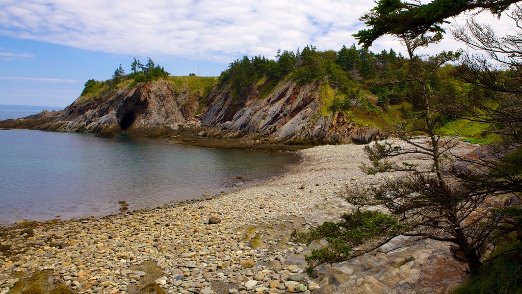 Smuggler\'s Cove which includes general coastal views, a pebble beach and rocky coastline