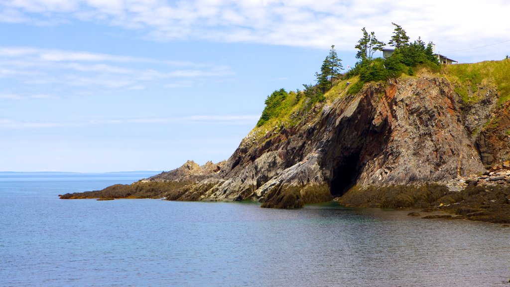 Smuggler\'s Cove featuring rocky coastline