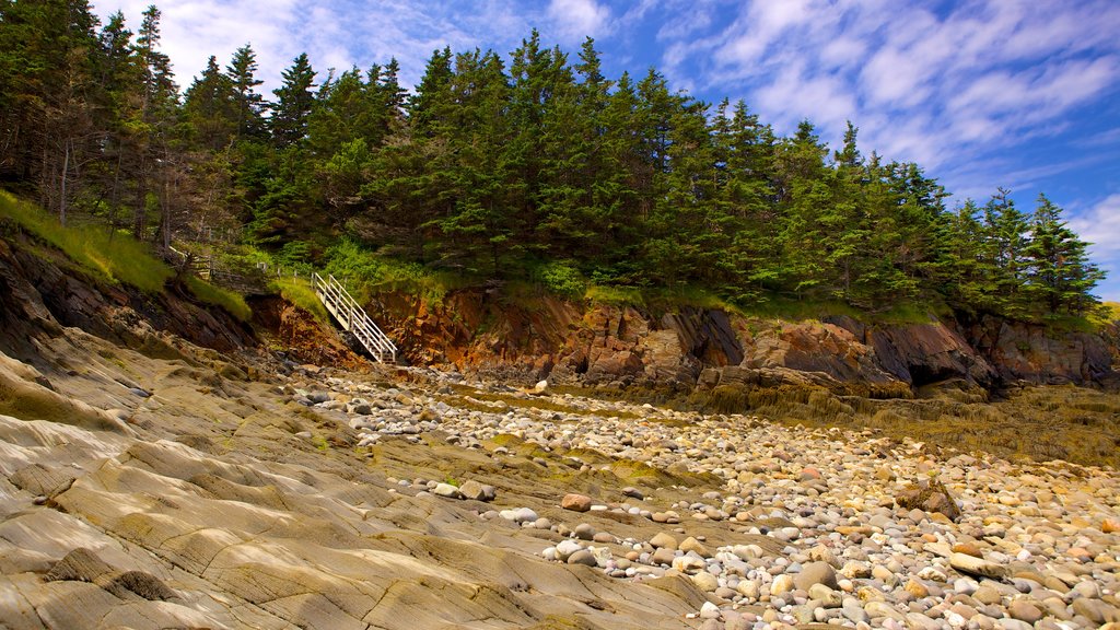 Smuggler\'s Cove featuring rocky coastline