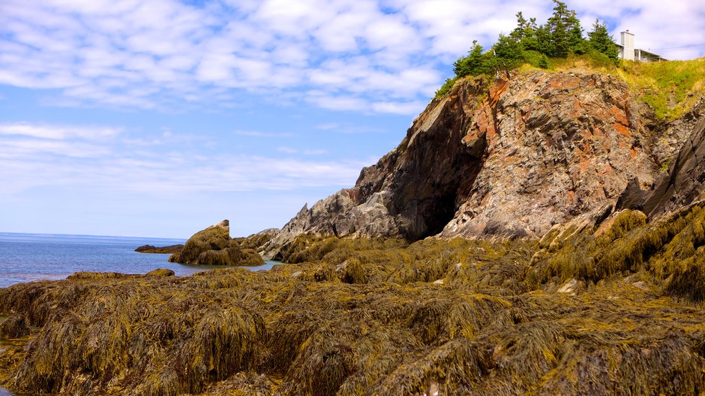 Smuggler\'s Cove showing rocky coastline