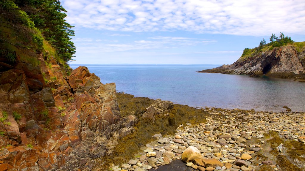 Smuggler\'s Cove featuring rocky coastline and a pebble beach