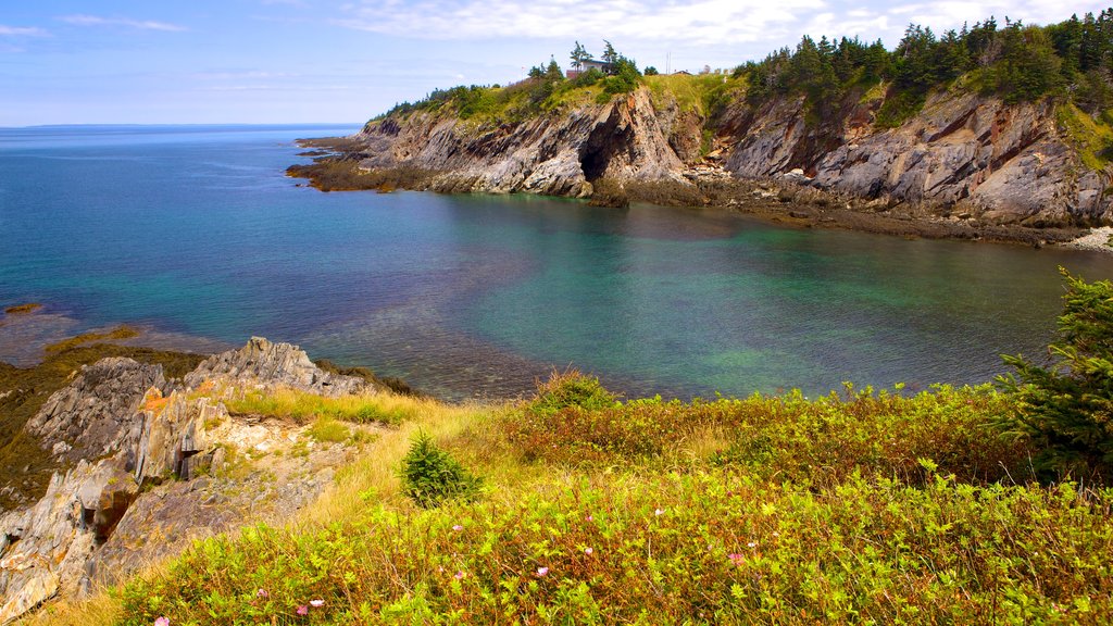 Smuggler\'s Cove showing rocky coastline