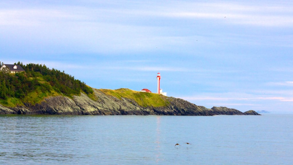 Cape Forchu Lightstation which includes a lighthouse and rocky coastline