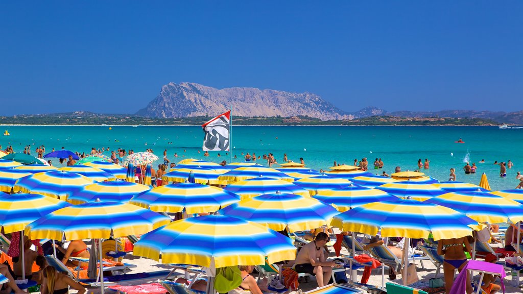 San Teodoro which includes general coastal views and a sandy beach as well as a large group of people