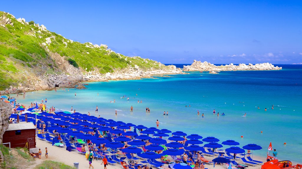 Santa Teresa di Gallura featuring a sandy beach