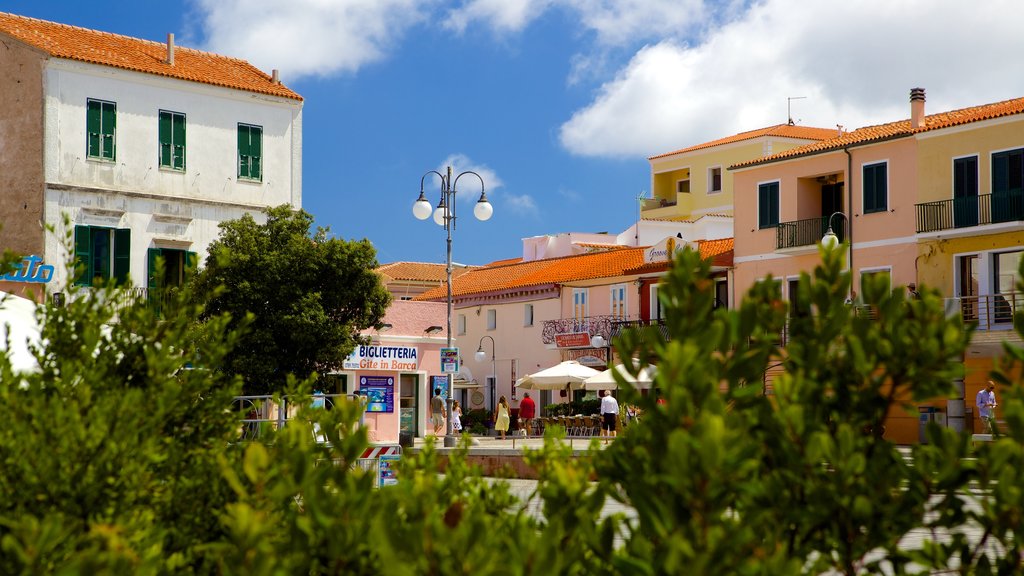 Santa Teresa Gallura que incluye una pequeña ciudad o aldea