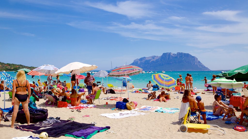 Porto Istana showing a beach as well as a large group of people