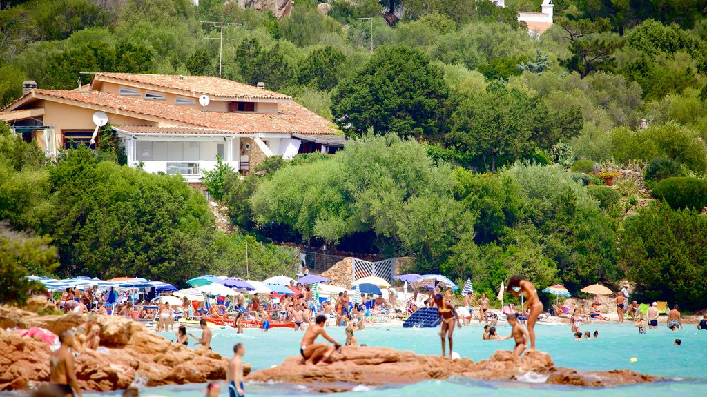 Porto Istana featuring swimming as well as a large group of people