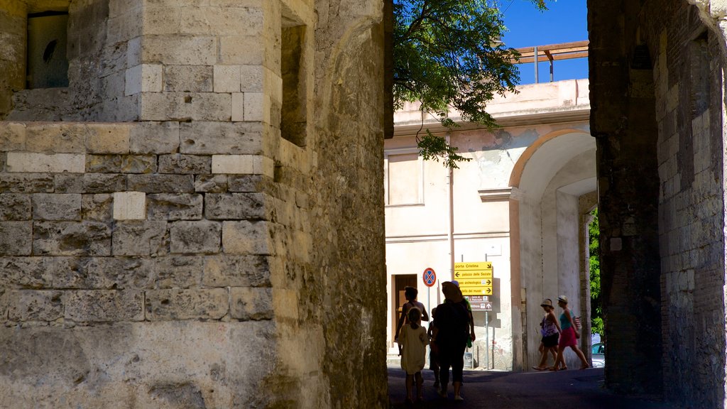 National Archaeological Museum showing heritage architecture