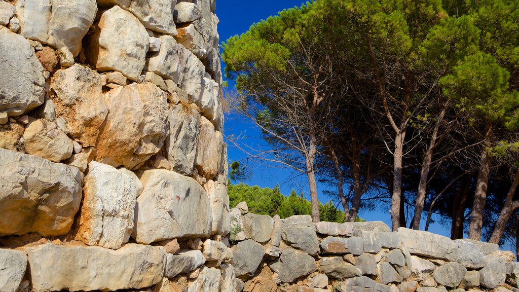 Nuraghe di Palmavera which includes building ruins