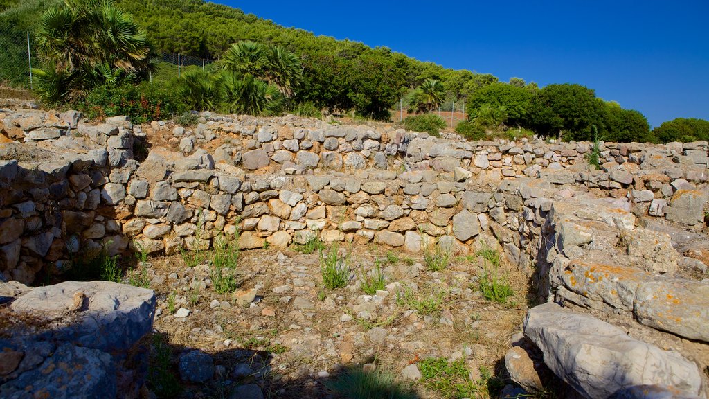 Nuraghe di Palmavera que incluye elementos patrimoniales y una ruina