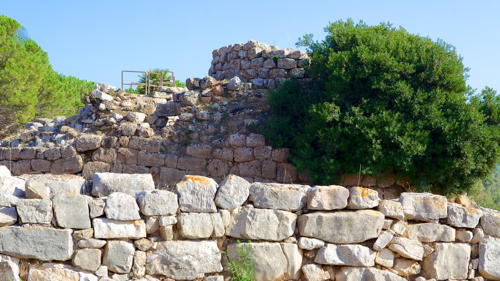 Nuraghe di Palmavera mostrando rovine e oggetti d\'epoca