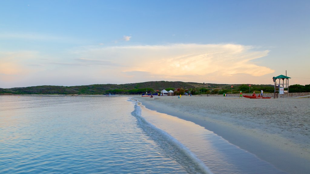 Pittulongu Beach showing a sandy beach