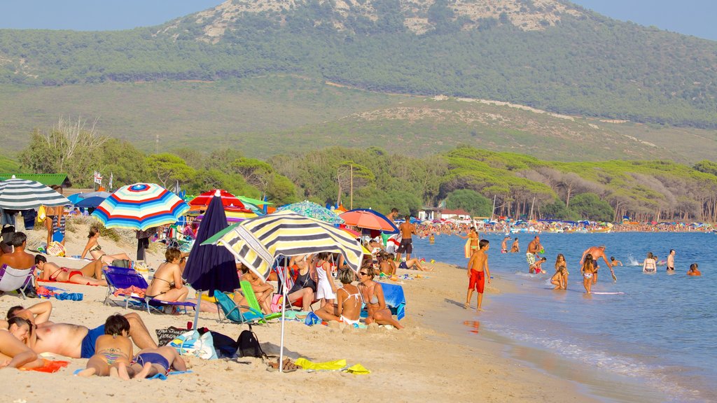 Spiaggia di Mugoni che include nuoto e spiaggia sabbiosa cosi come un grande gruppo di persone