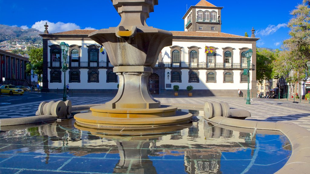 Plaza principal mostrando un parque o plaza y una fuente