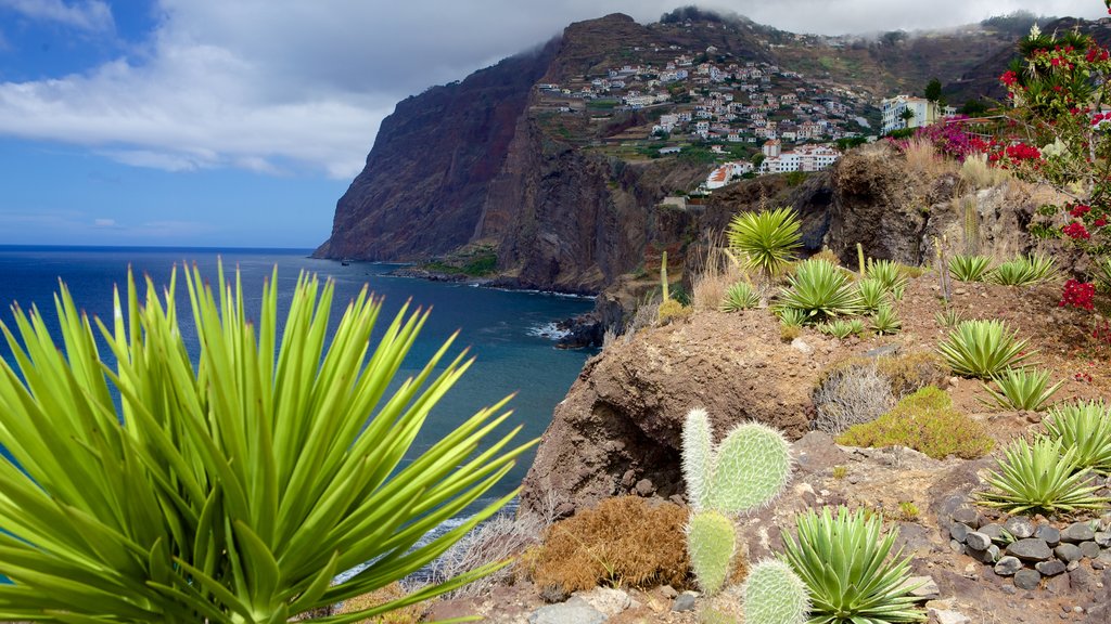 Cabo Girao showing flowers and rocky coastline