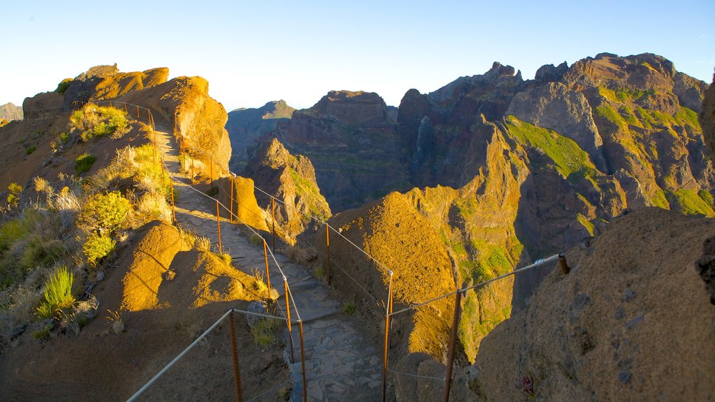 Pico do Ariero có tính năng những ngọn núi