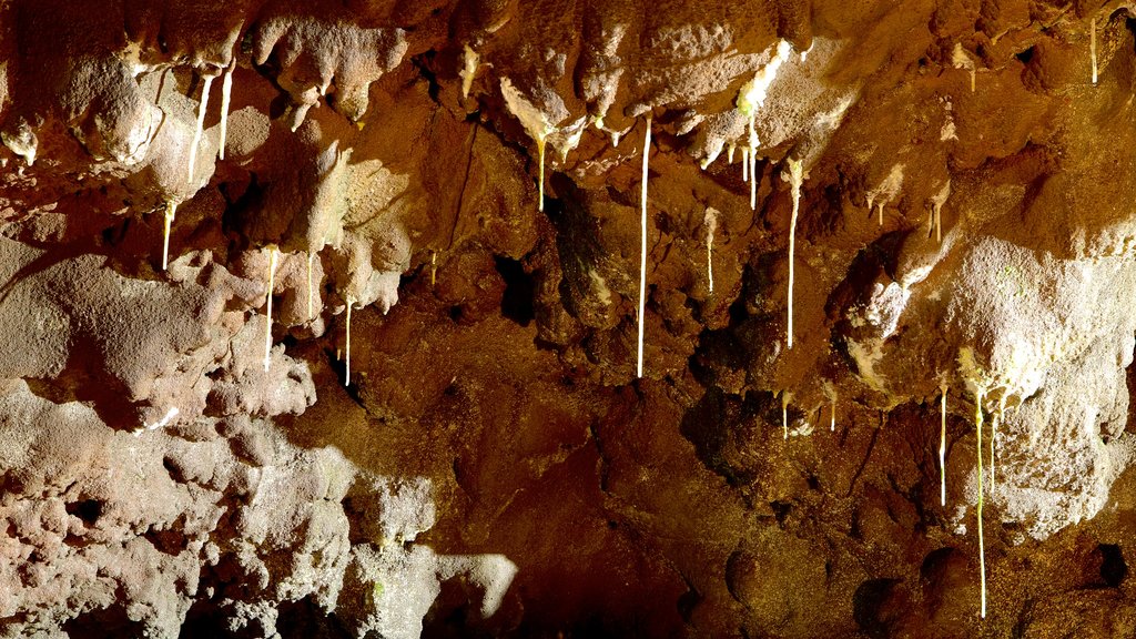 Caves of Sao Vicente and Volcanism Center showing caves