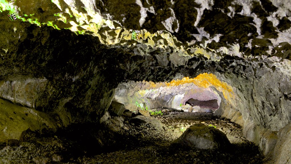 Caves of Sao Vicente and Volcanism Center showing caves