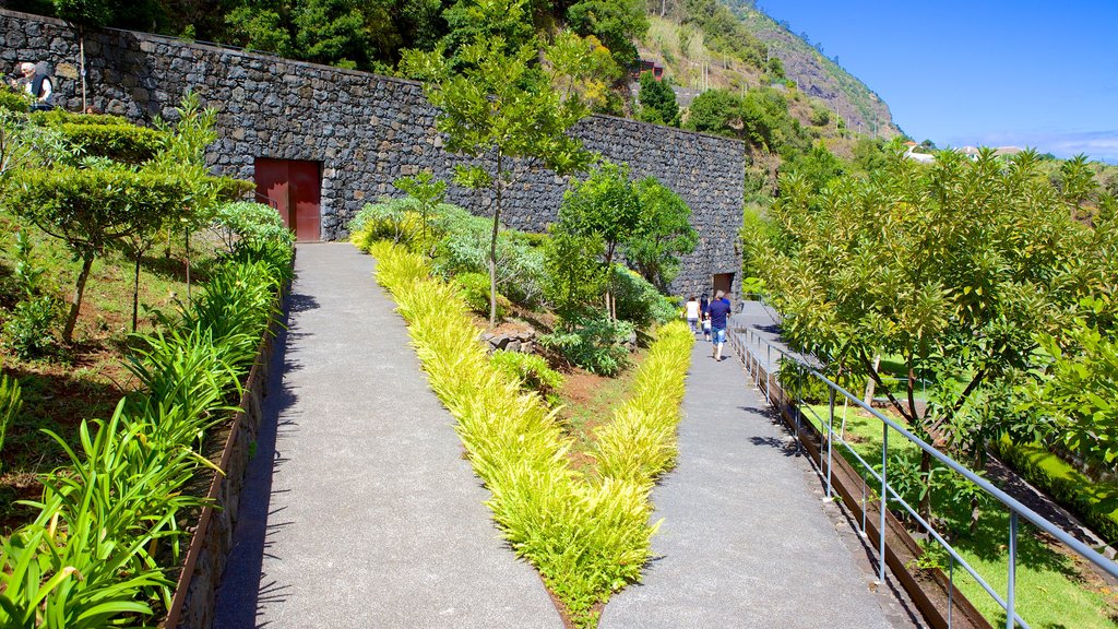 Caves of Sao Vicente and Volcanism Center showing a garden