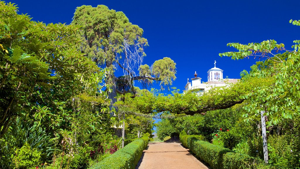 Jardines de Palheiro mostrando jardín