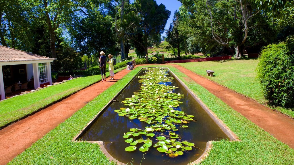 Palheiro Gardens which includes a park