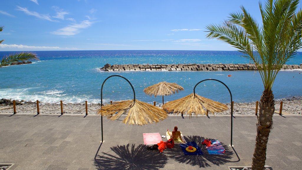 Plage de Ponta Do Sol qui includes une plage de galets