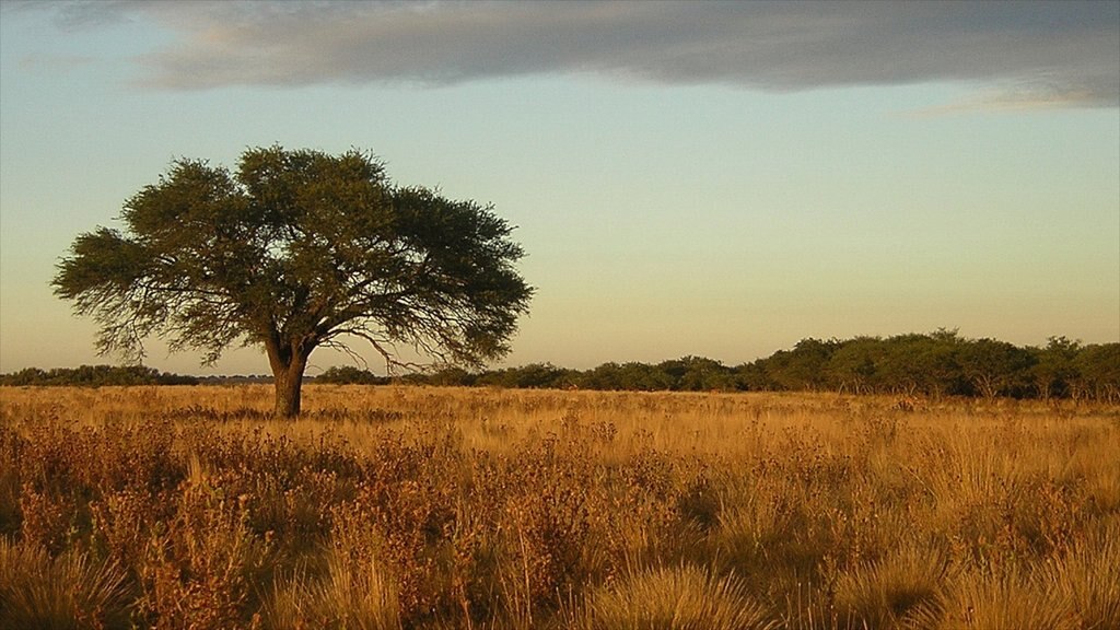 La Pampa bevat vredige uitzichten