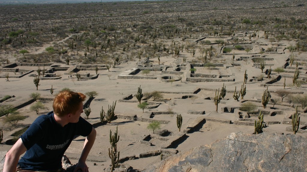 Tucuman showing desert views and building ruins as well as an individual male