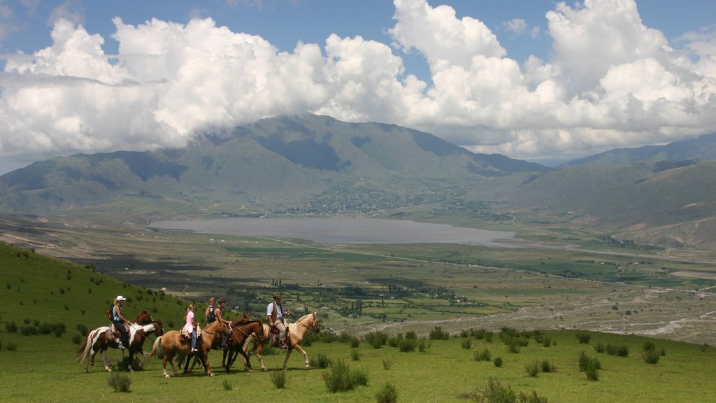 Tucuman which includes mountains, tranquil scenes and land animals