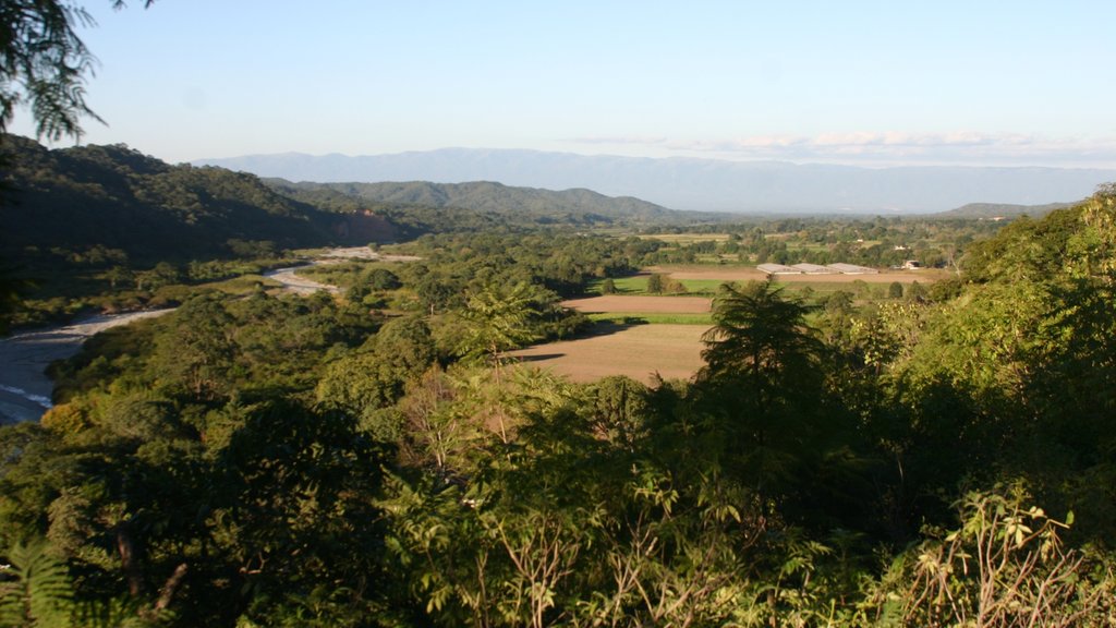 Tucuman showing tranquil scenes and landscape views