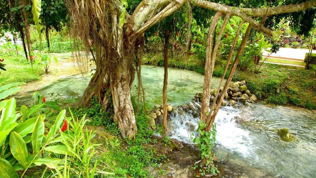 Mele Cascades which includes a river or creek