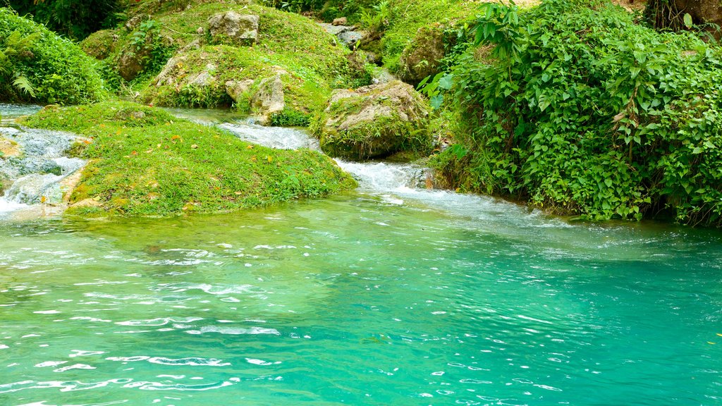 Mele Cascades which includes a river or creek