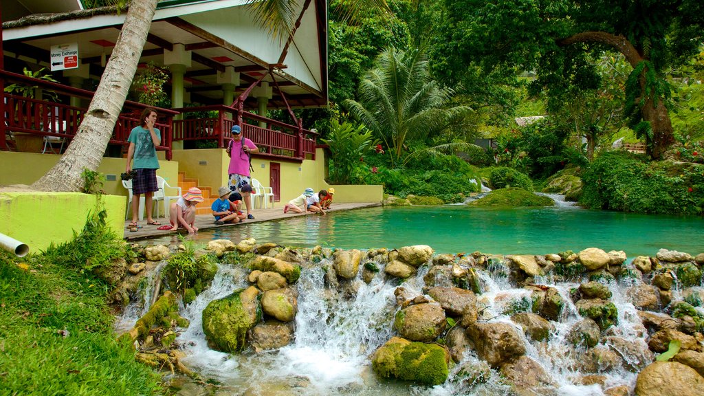 Mele Cascades featuring a river or creek, a cascade and rainforest