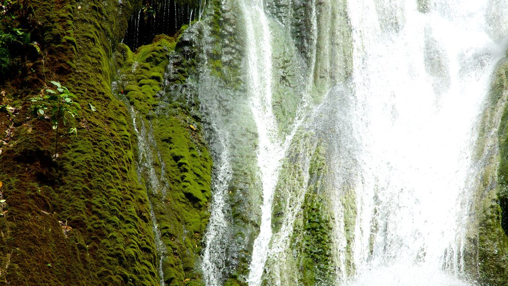 Mele Cascades showing a cascade