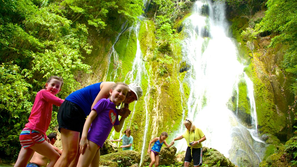 Mele Cascades featuring a waterfall as well as a family