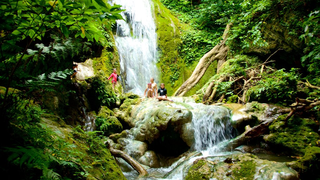 Mele Cascades which includes rainforest and a waterfall as well as children