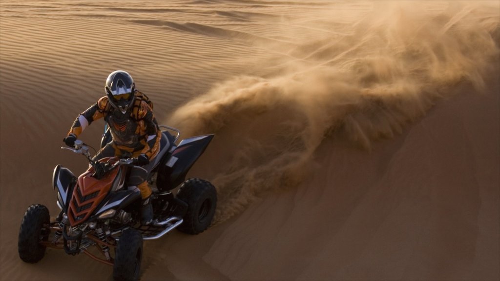 El Centro ofreciendo excursiones en vehículos y vista al desierto y también un hombre