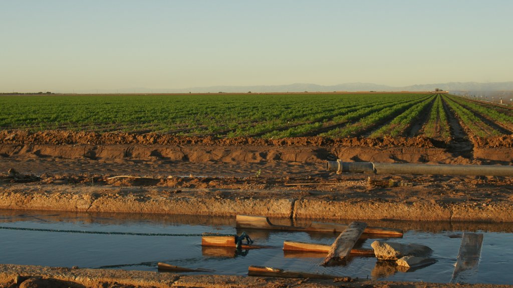 El Centro showing landscape views and farmland