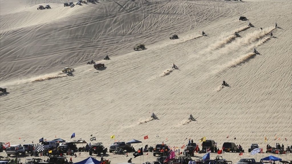 El Centro ofreciendo vista al desierto y un evento deportivo