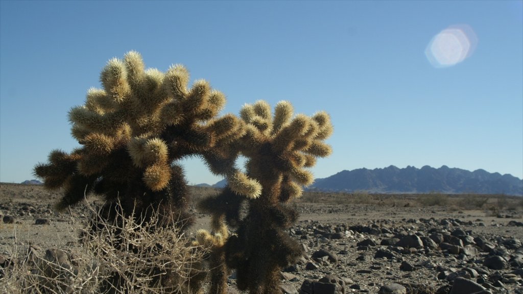 El Centro que inclui paisagens do deserto e paisagem